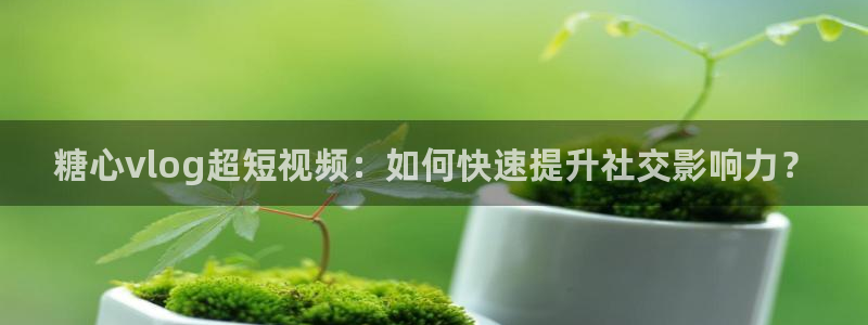 糖心在线蘑菇vlog:糖心vlog超短视