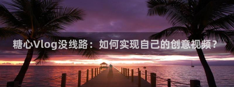 台湾糖心vlog在线:糖心Vlog没线路