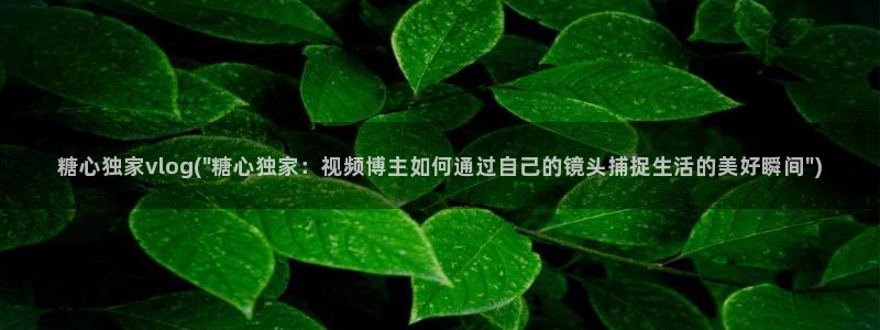 糖心sex vlog:糖心独家vlog(