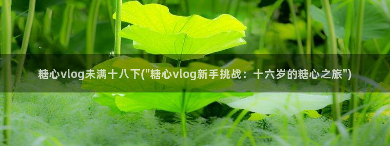 小水水糖心vlog:糖心vlog未满十八