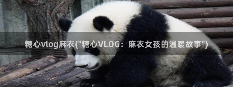 糖心vlog表情包:糖心vlog麻衣(\