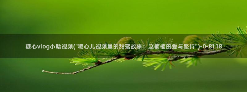 糖心vlog女友:糖心vlog小晗视频(