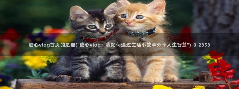 糖心唐伯虎vlog照片:糖心vlog首页